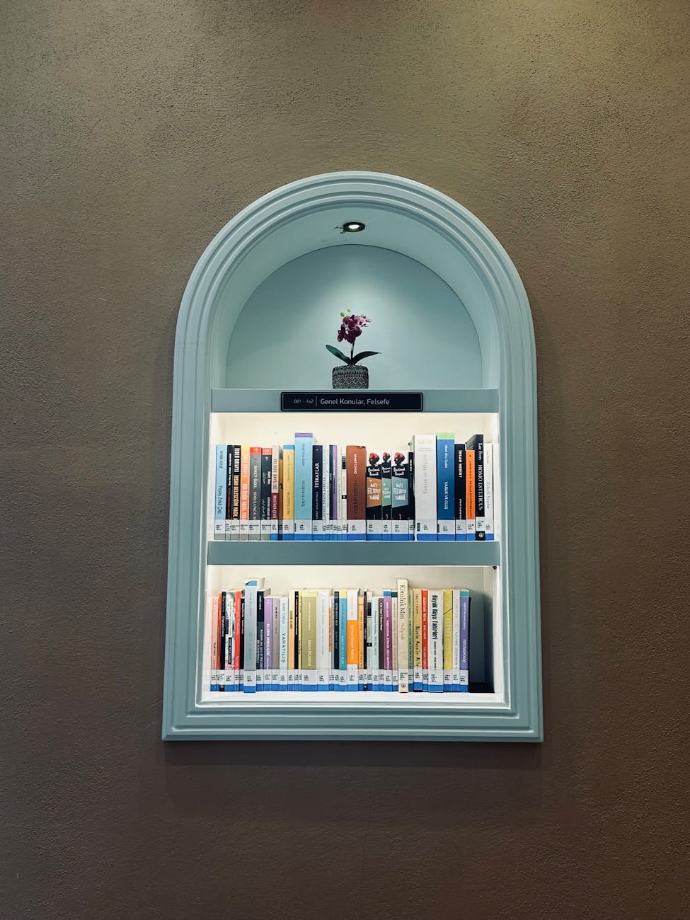 Shelving detail with integrated lighting showcasing décor items